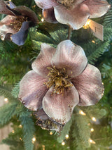 Mauve Christmas Rose Spray