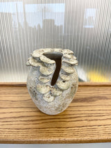 Stoneware Mushroom Pot