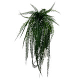 UV Protect Boston Fern Hanging Bush