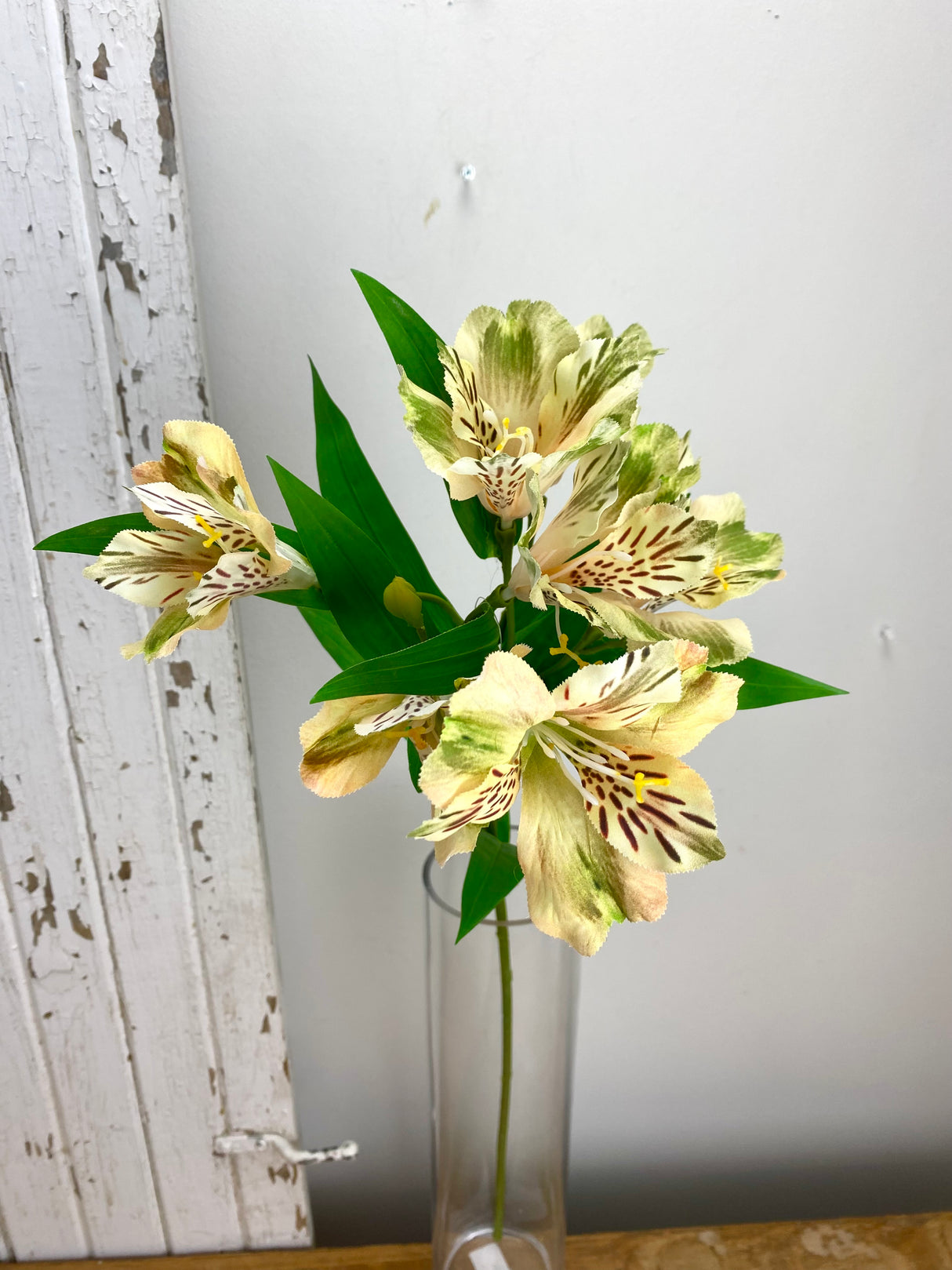 Yellow Alstromeria Spray