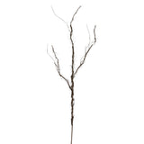 Amelia Twig Branch
