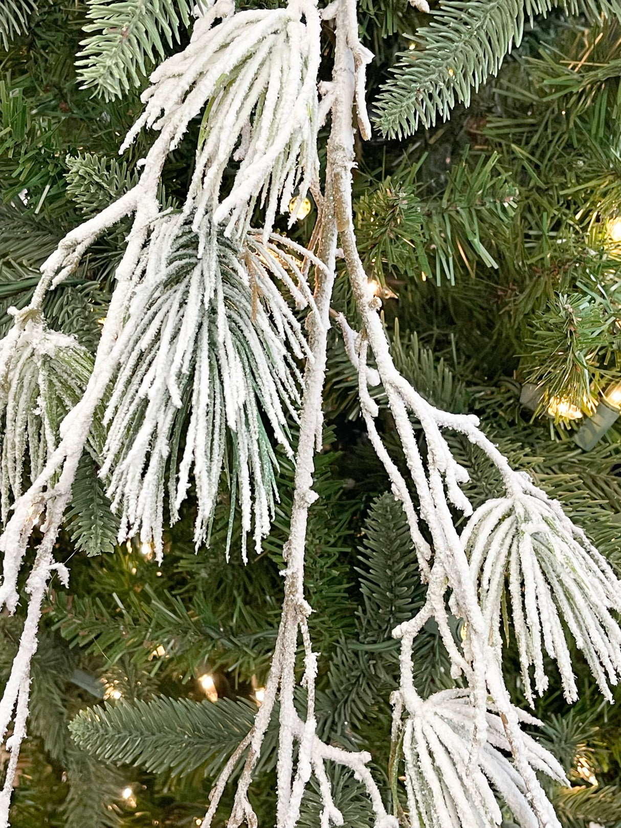 Winter Cozy Pine Branch