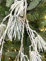 Winter Cozy Pine Branch