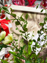 19" Sweet As Spring Drop-in