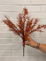 UV Protect Autumn Asparagus Fern Bush