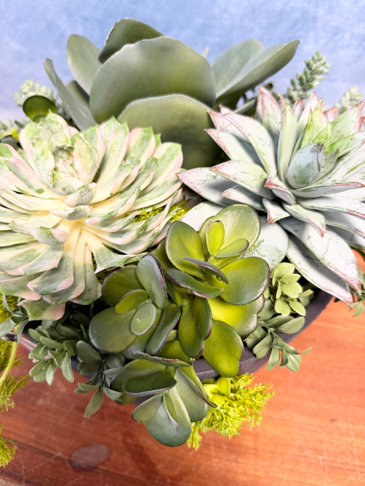 16"UV Desert Dream Planter