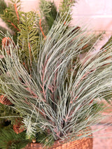 Gray Green Long Needle Pine Bundle