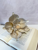 December Delights Frosted Magnolia Stem