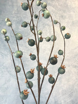 Blue Currant Berry Spray