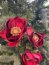 Red Glamour Velvet Anemone Spray
