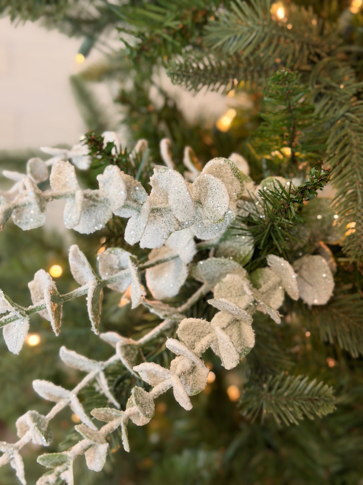 White Snowed Eucalyptus Spray