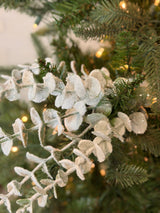 White Snowed Eucalyptus Spray