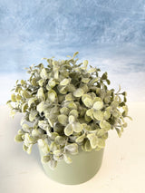 Pebble Eucalyptus Half Sphere