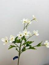 White Mini Cosmos Spray