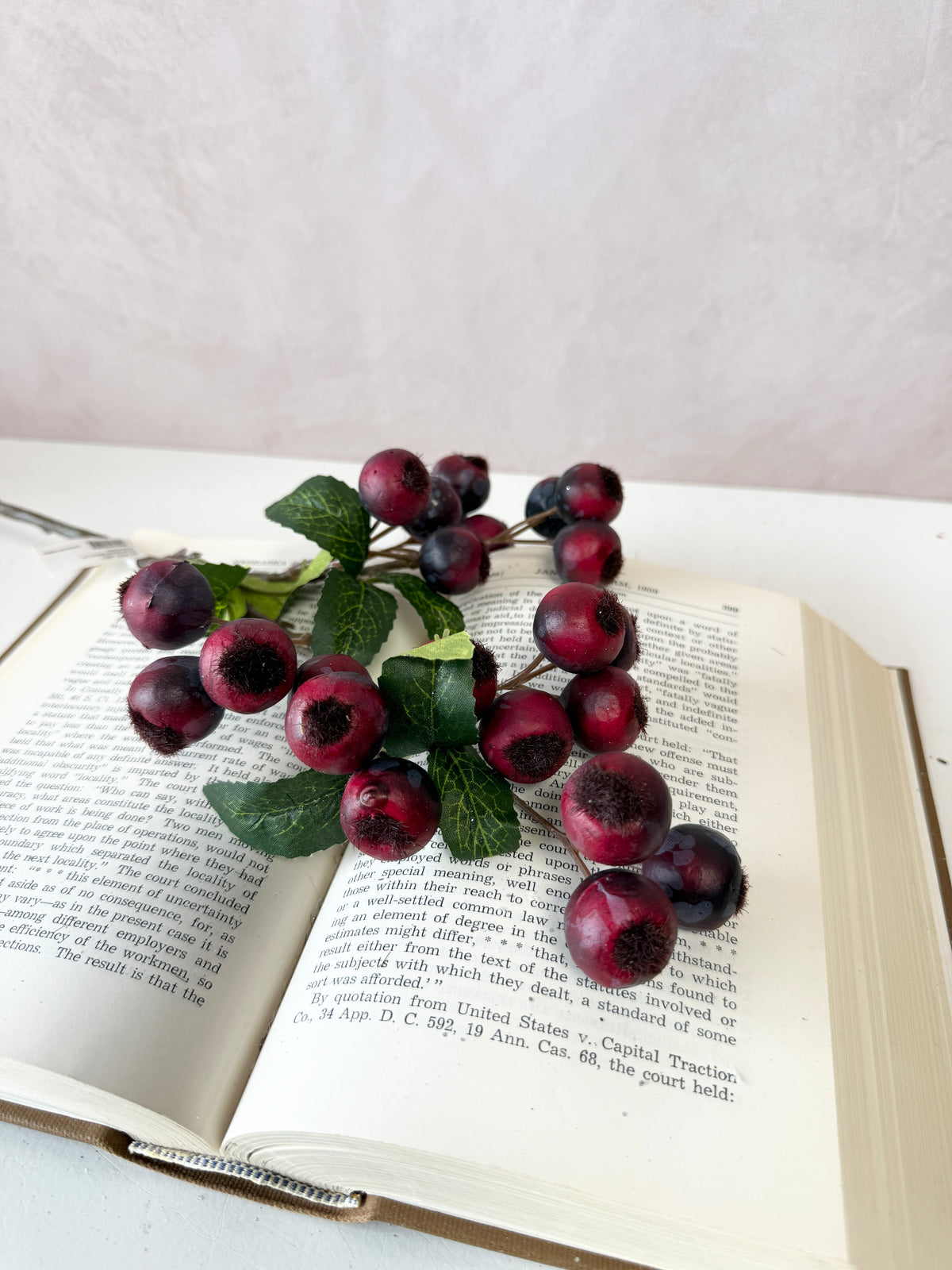 Plum Berry Spray