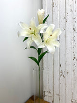 UV Protect White Tiger Lily Spray