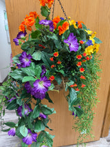 Spring Delight Hanging Basket Kit
