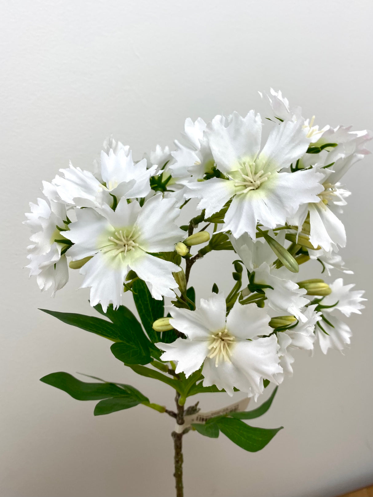 Treasure Dianthus Spray