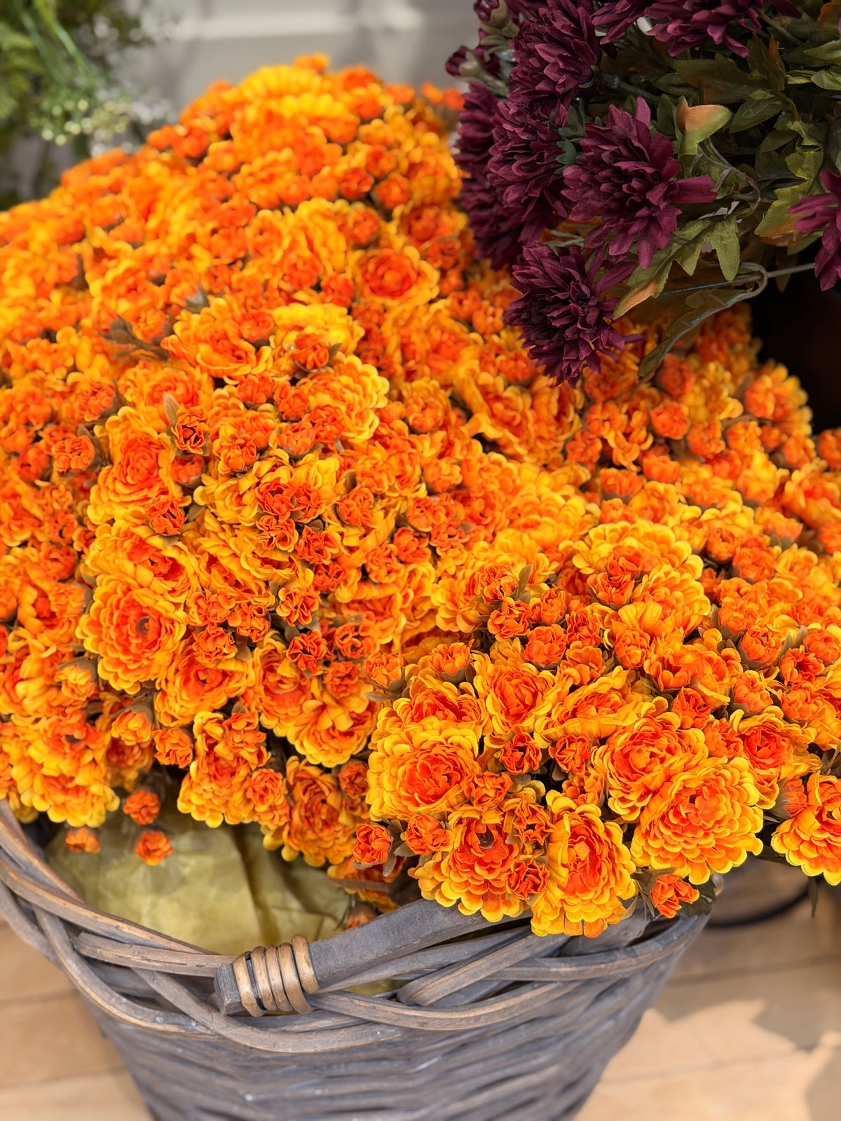 Yellow Orange Mini Mum Bush