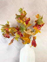 Flame Maple Bush