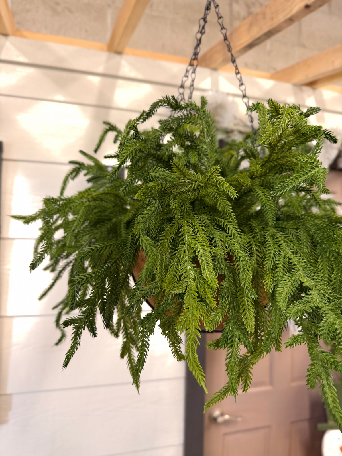 20" Real Touch Winter Pine Hanging Basket