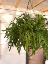 20" Real Touch Winter Pine Hanging Basket