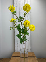 Yellow Dahlia Spray