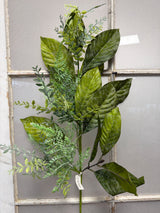 Magnolia Fern & Tea Leaf Spray