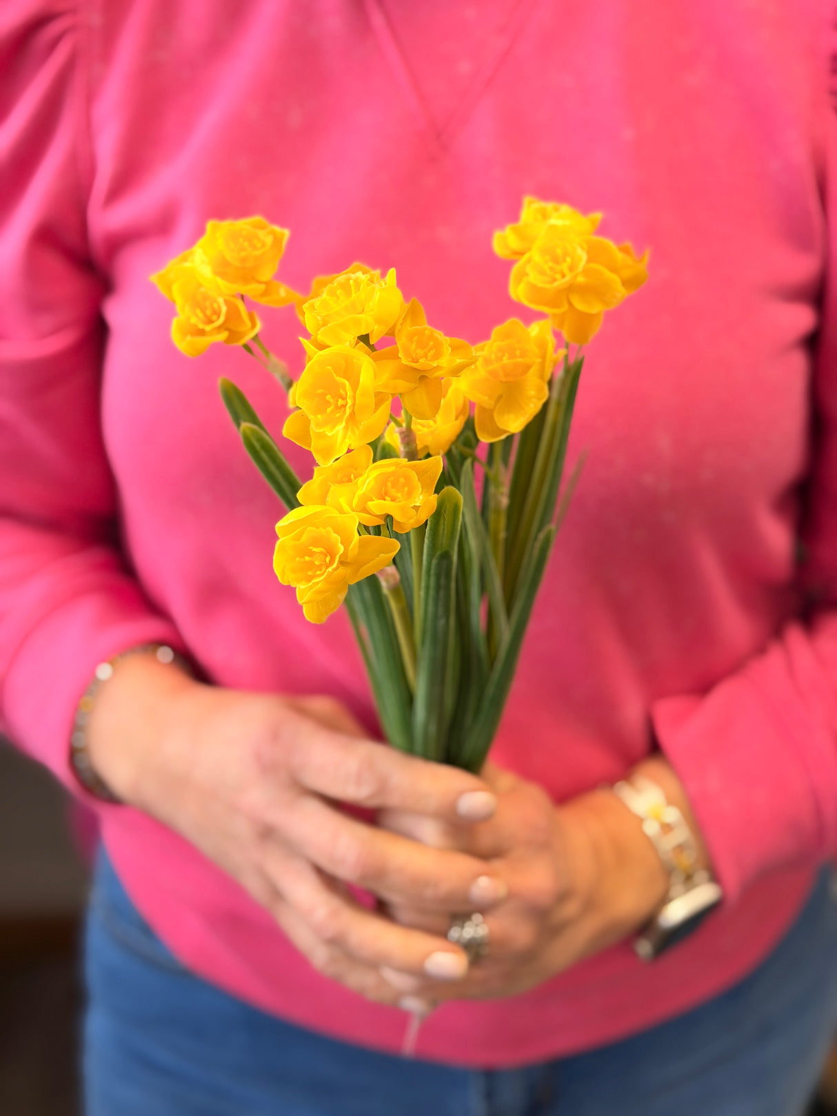 Yellow Narcissus Bundle