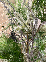 34" Northern Pines Winter Drop-In