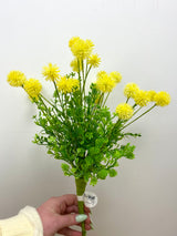 Yellow Gomphrena Bush