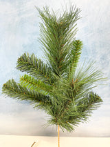 Short Himalayan Pine Pick