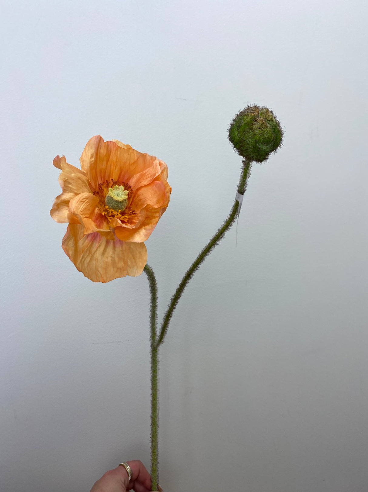 Coral Poppy Spray With Bud