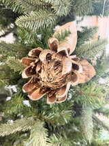 Champagne Holiday Protea
