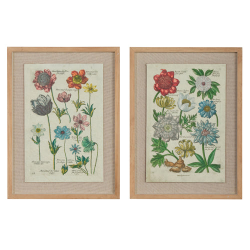 Vintage Botanical Framed Wall Art- 2 Styles