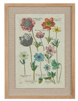 Vintage Botanical Framed Wall Art- 2 Styles