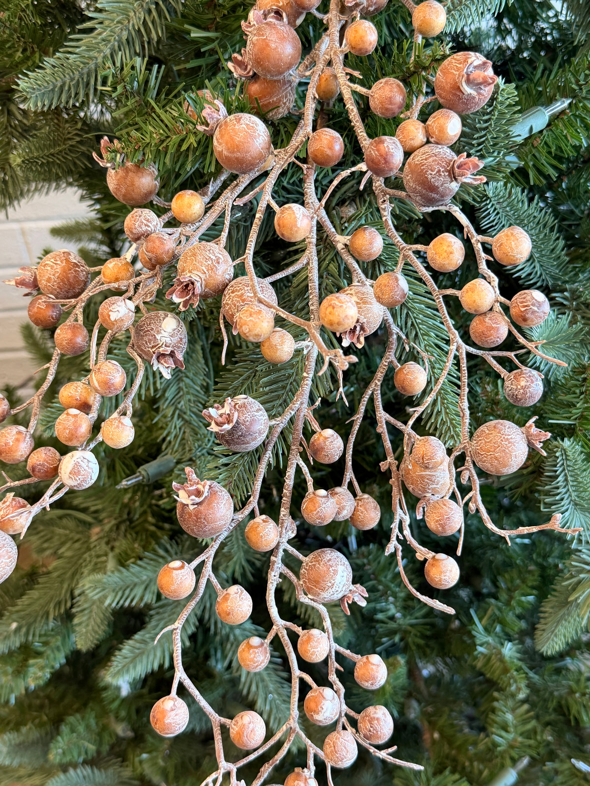 Hazelnut Currant Berry Branch
