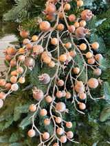 Hazelnut Currant Berry Branch