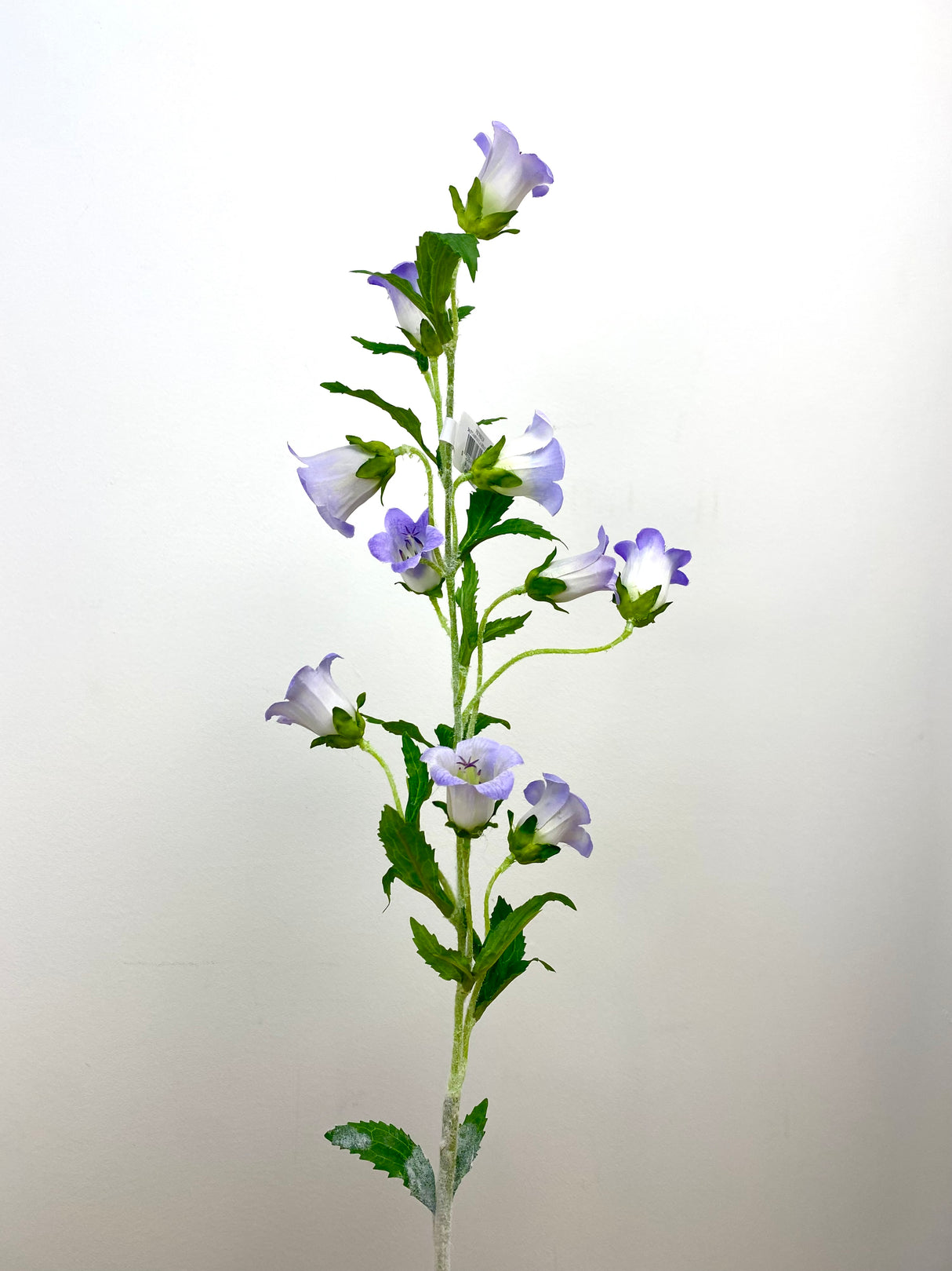 Lavender Campanula Spray