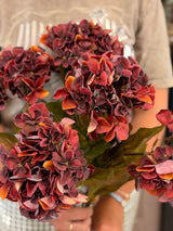 Rust Harvest Hydrangea Bush