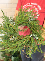 14" Juniper Cypress Wreath