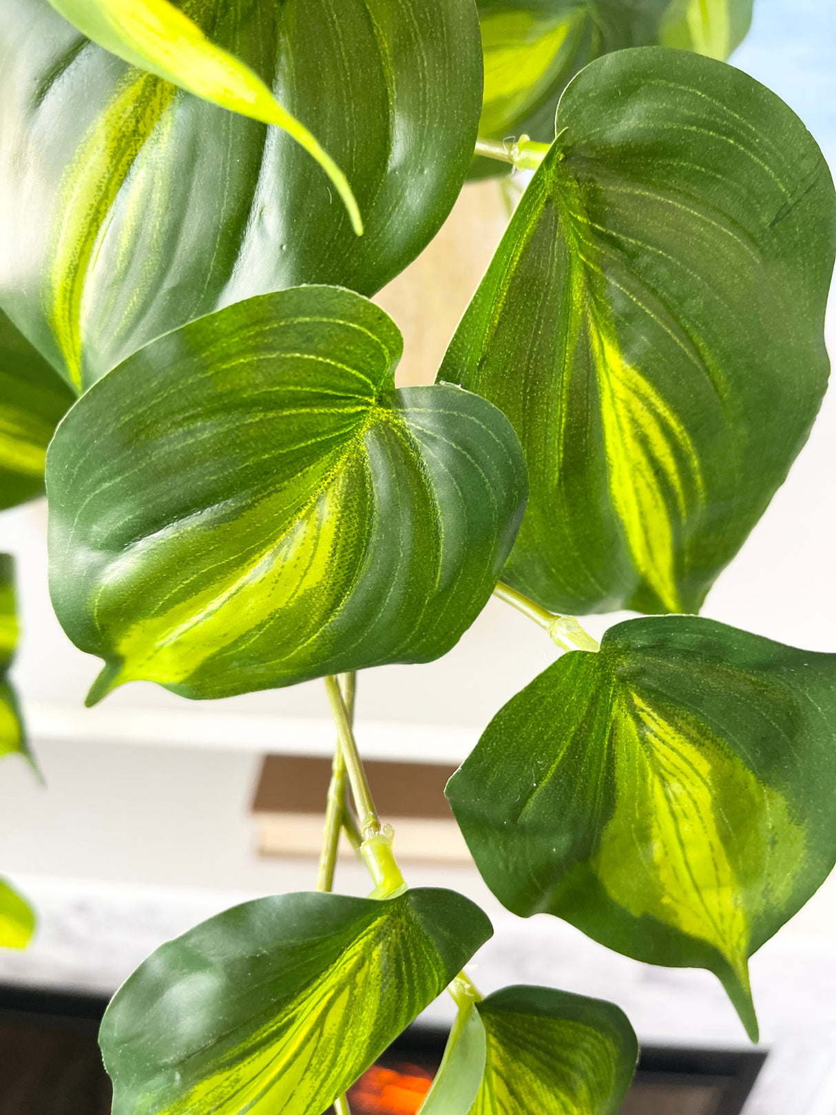 UV Protect Real Touch Philo Bush