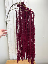 Burgundy Soft Amaranthus Spray
