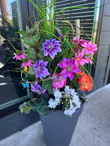 Tradescantia Hanging Bush