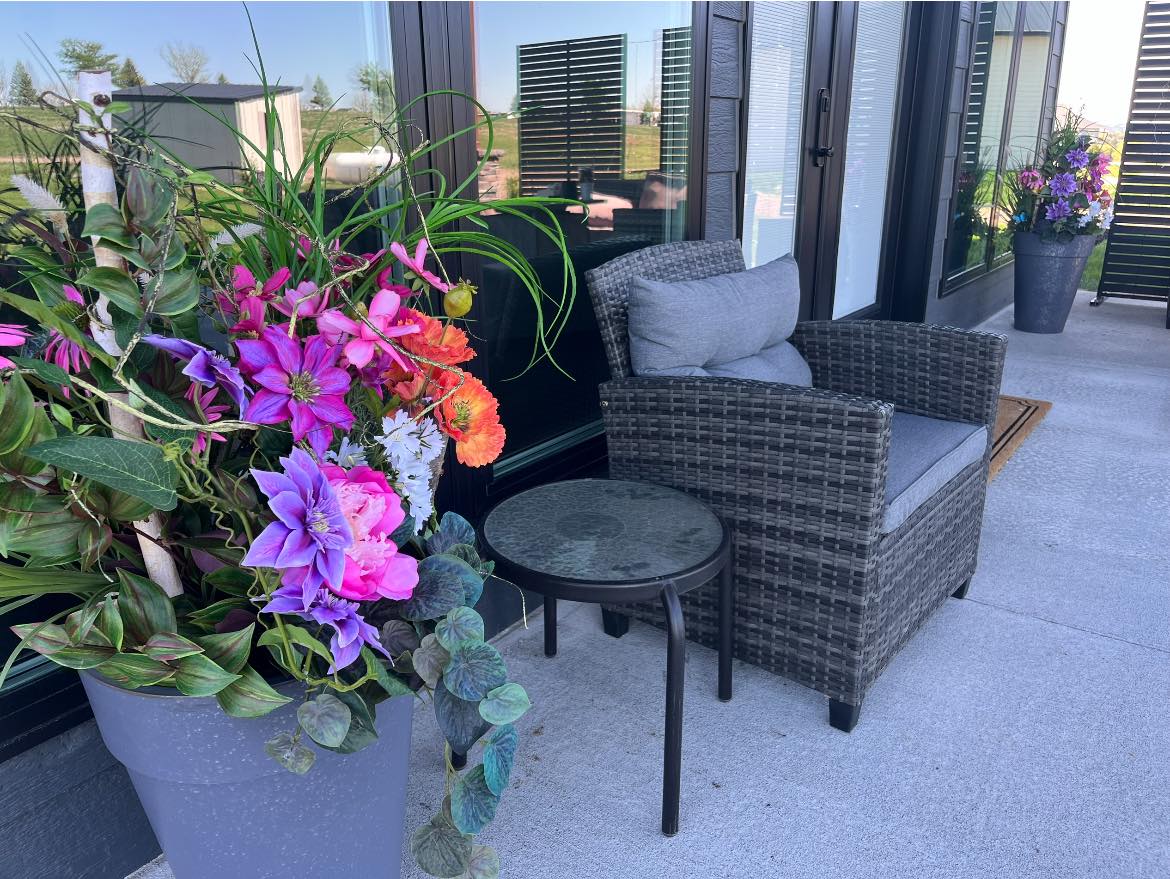 Dark Green Pepperomia Bush