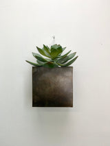 5" Iron Wall Planter