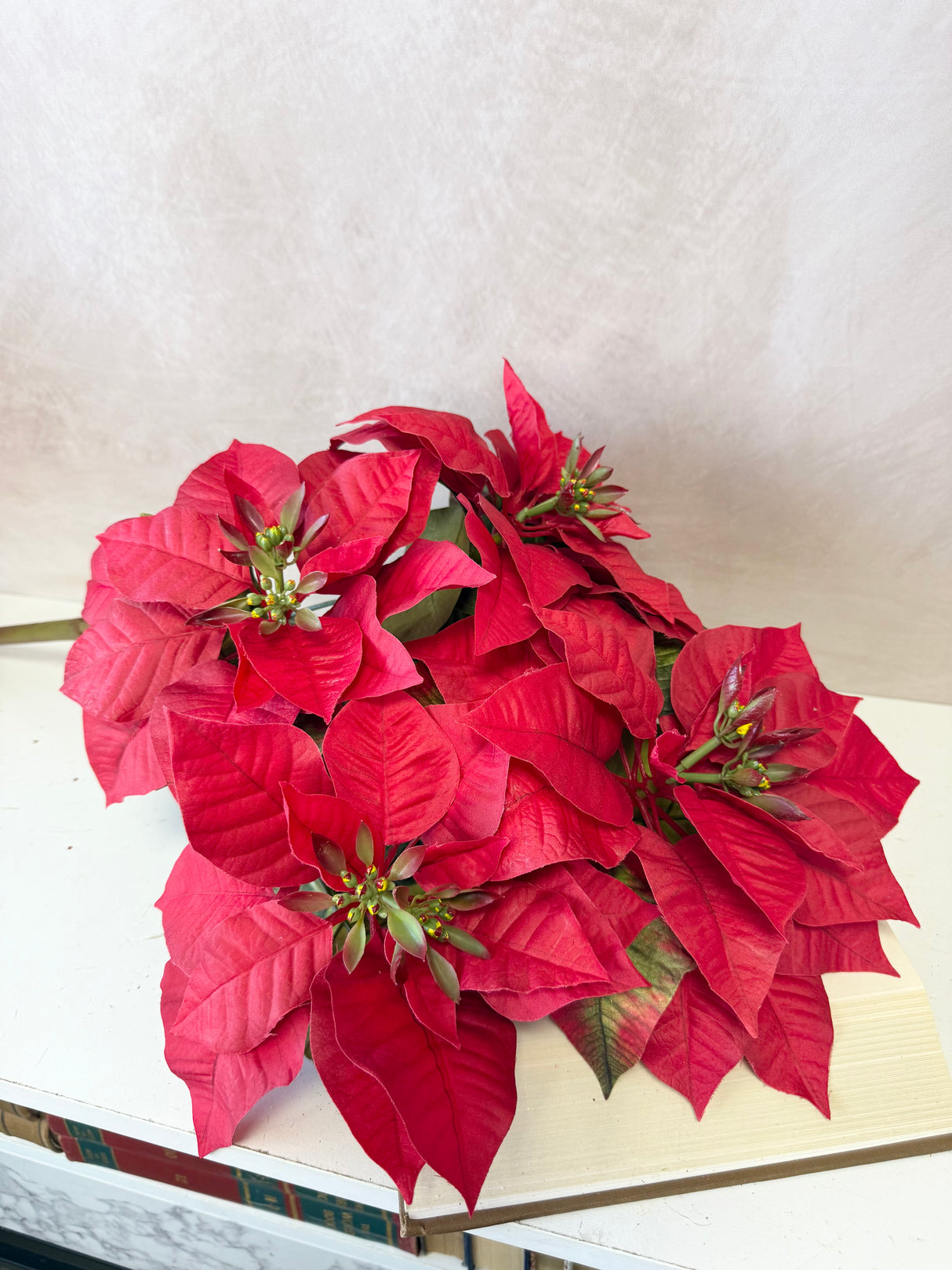 Holiday Red Poinsettia Bush