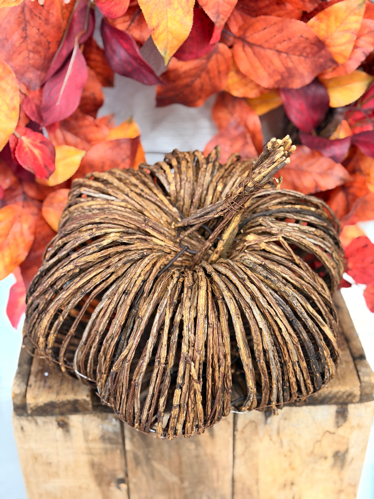 Raven Large Vine Pumpkin