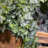 Mini Frosted Hanging Ivy