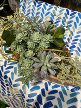 12" The Succulent Skipper Centerpiece